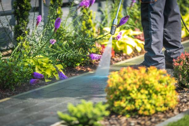 Reliable Hoback, WY Pressure Washing Solutions