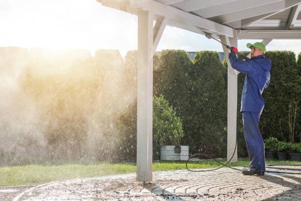 Best Gutter Cleaning  in Hoback, WY